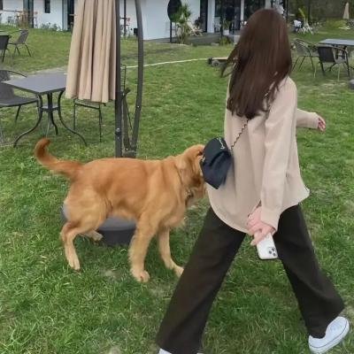 我们的八十年代